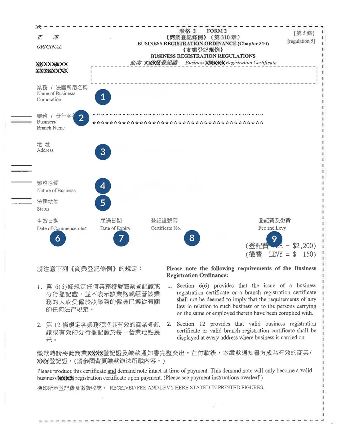 A Hong Kong business registration certificate with its data removed and its nine particulars numbered