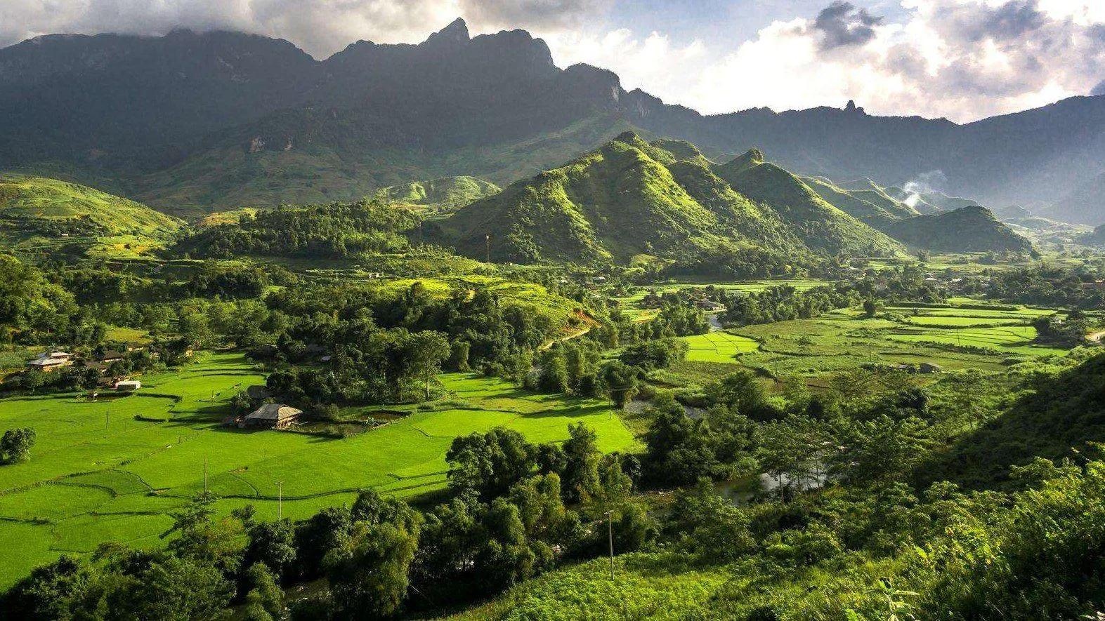 Rice paddies in a northern Vietnamese valley